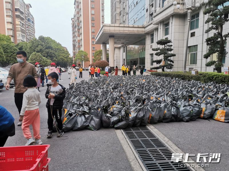 780份蔬菜包送到了湘林小區(qū)院內(nèi)。長沙晚報實(shí)習(xí)生 羅楊 攝